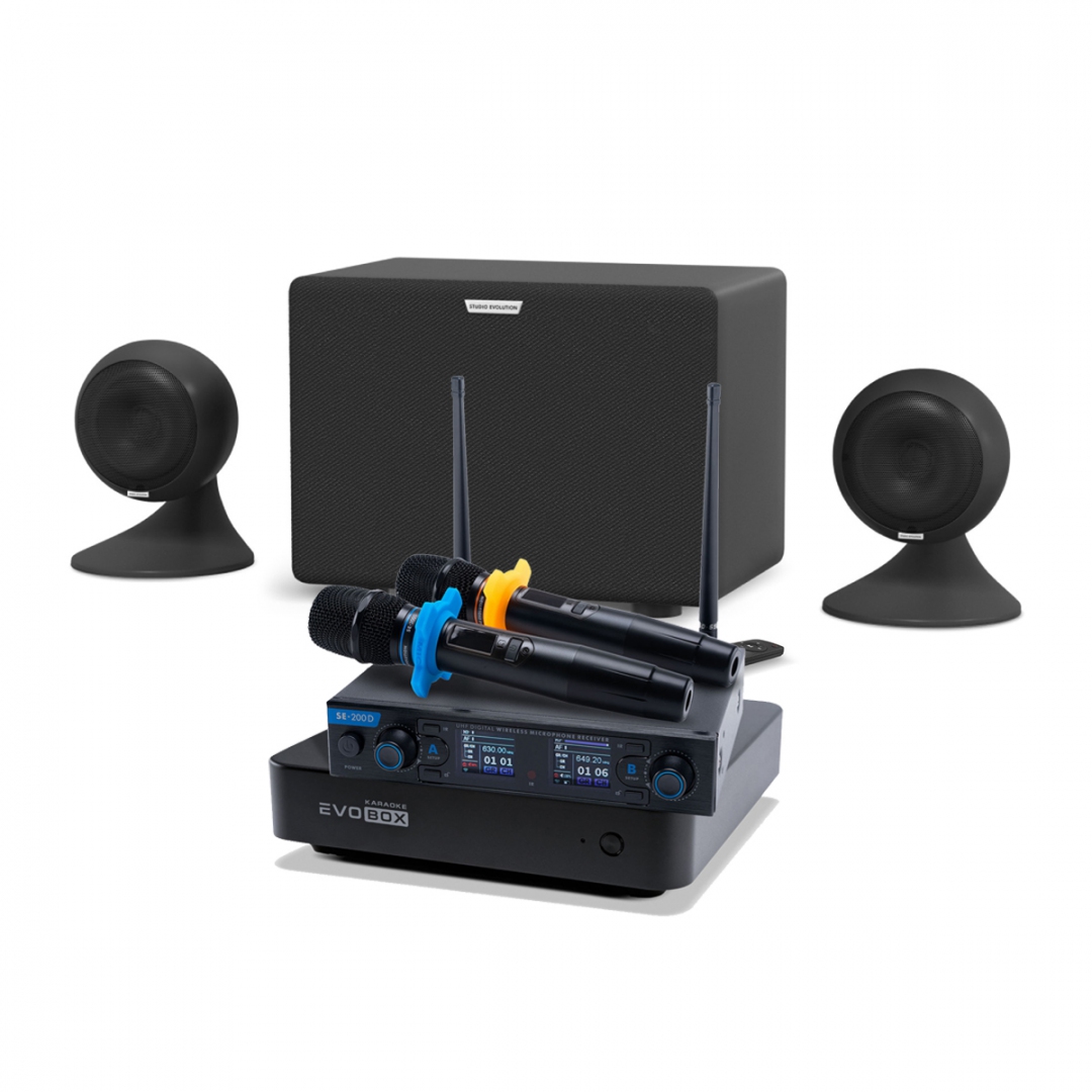 караоке-комплект EVOBOX + EvoSound Sphere 2.1 в Благовещенске