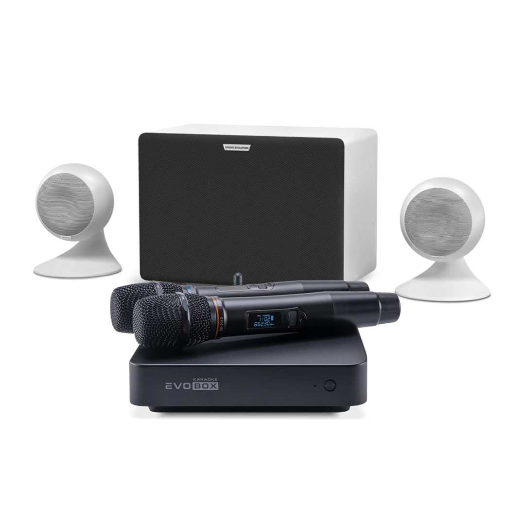 караоке-комплект EVOBOX Classic + EvoSound Sphere 2.1 в Благовещенске