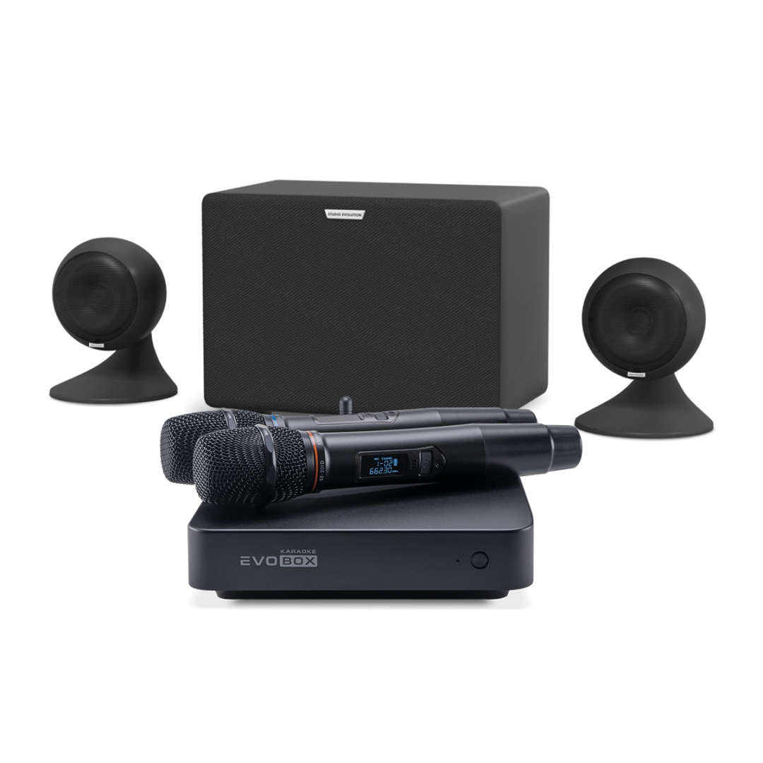 караоке-комплект EVOBOX Plus + EvoSound Sphere 2.1 в Благовещенске