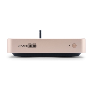 EVOBOX Classic караоке-система для дома в Благовещенске