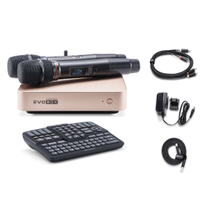 EVOBOX Classic караоке-система для дома в Благовещенске