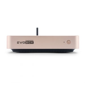 EVOBOX Plus караоке-система для дома в Благовещенске